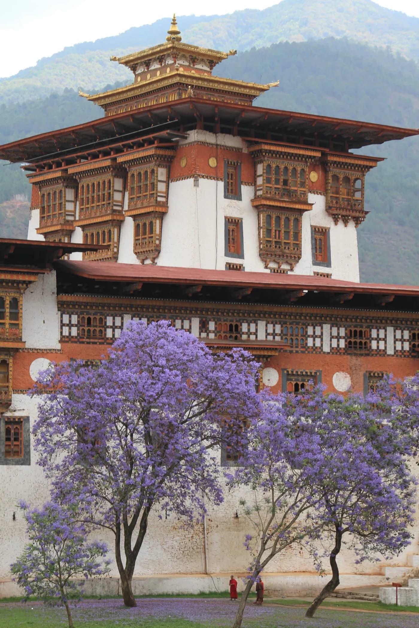 Historic Punakha Dzong