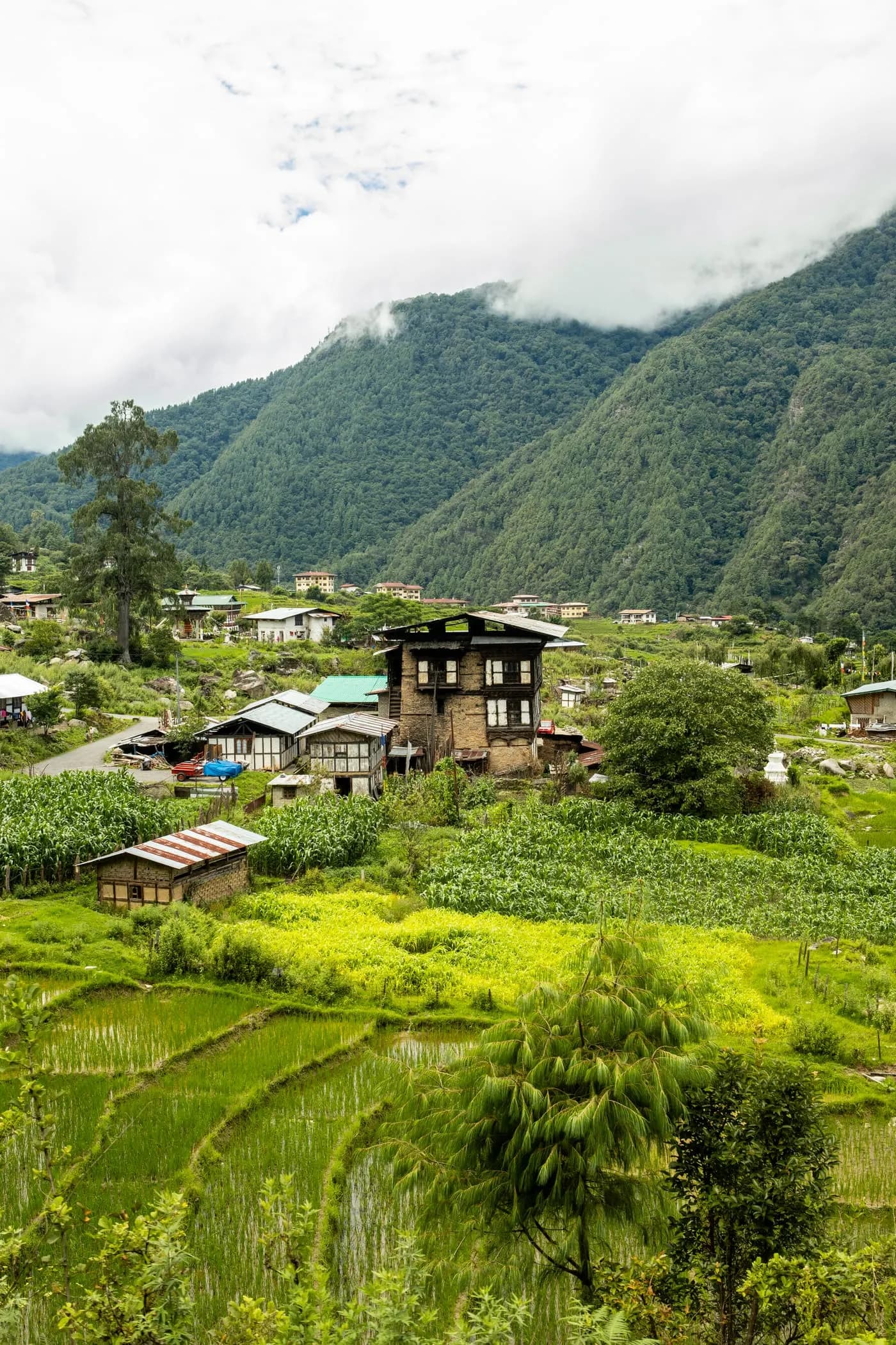 A peaceful Bhutanese valley
