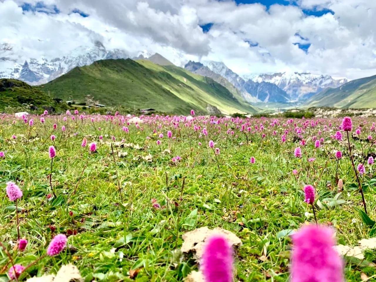 Bhutan's landscape across the seasons