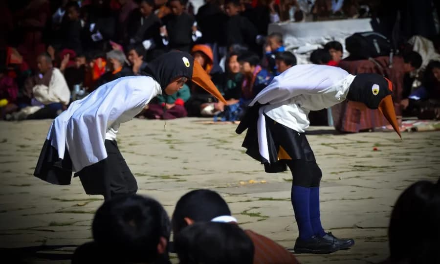 Performers at the Black-Necked Crane festival in Phobjikha