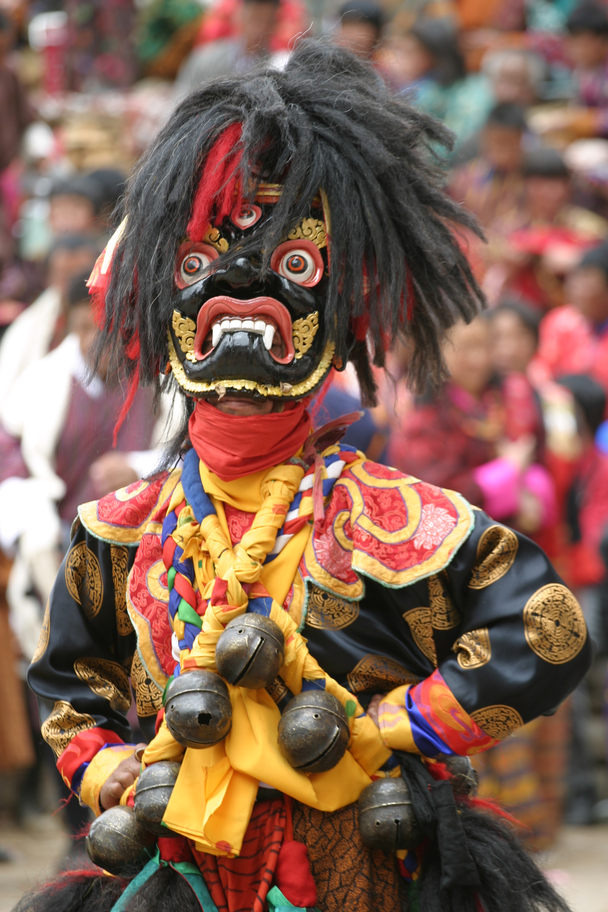 Festival Tour