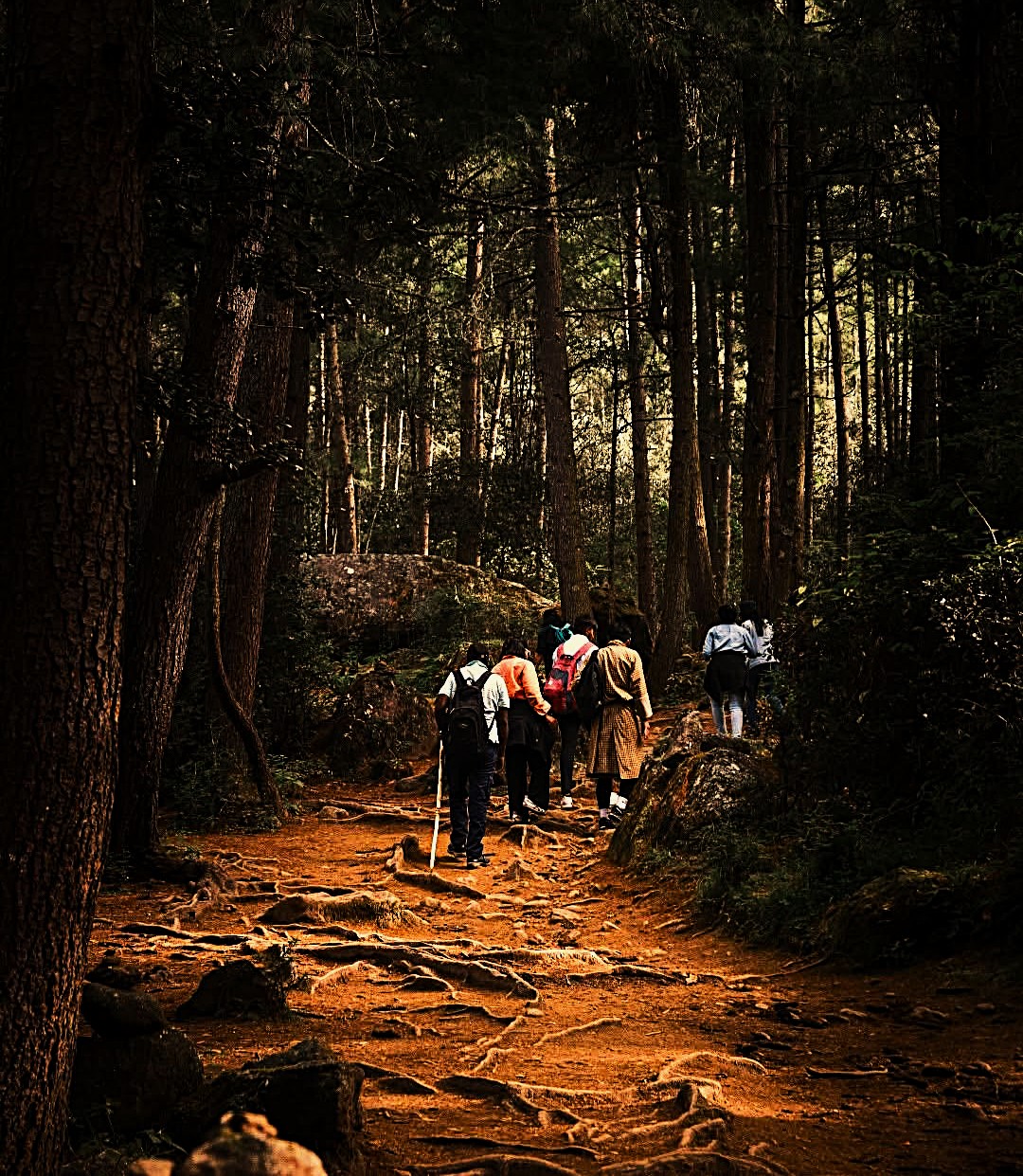 Adventure Tour