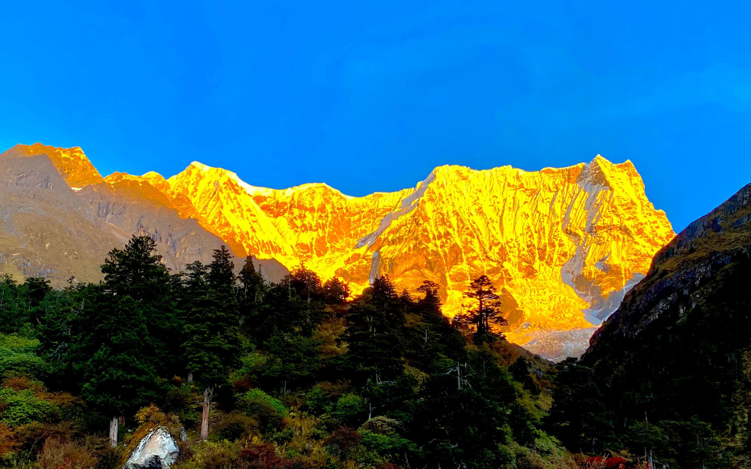 Bhutan Banner