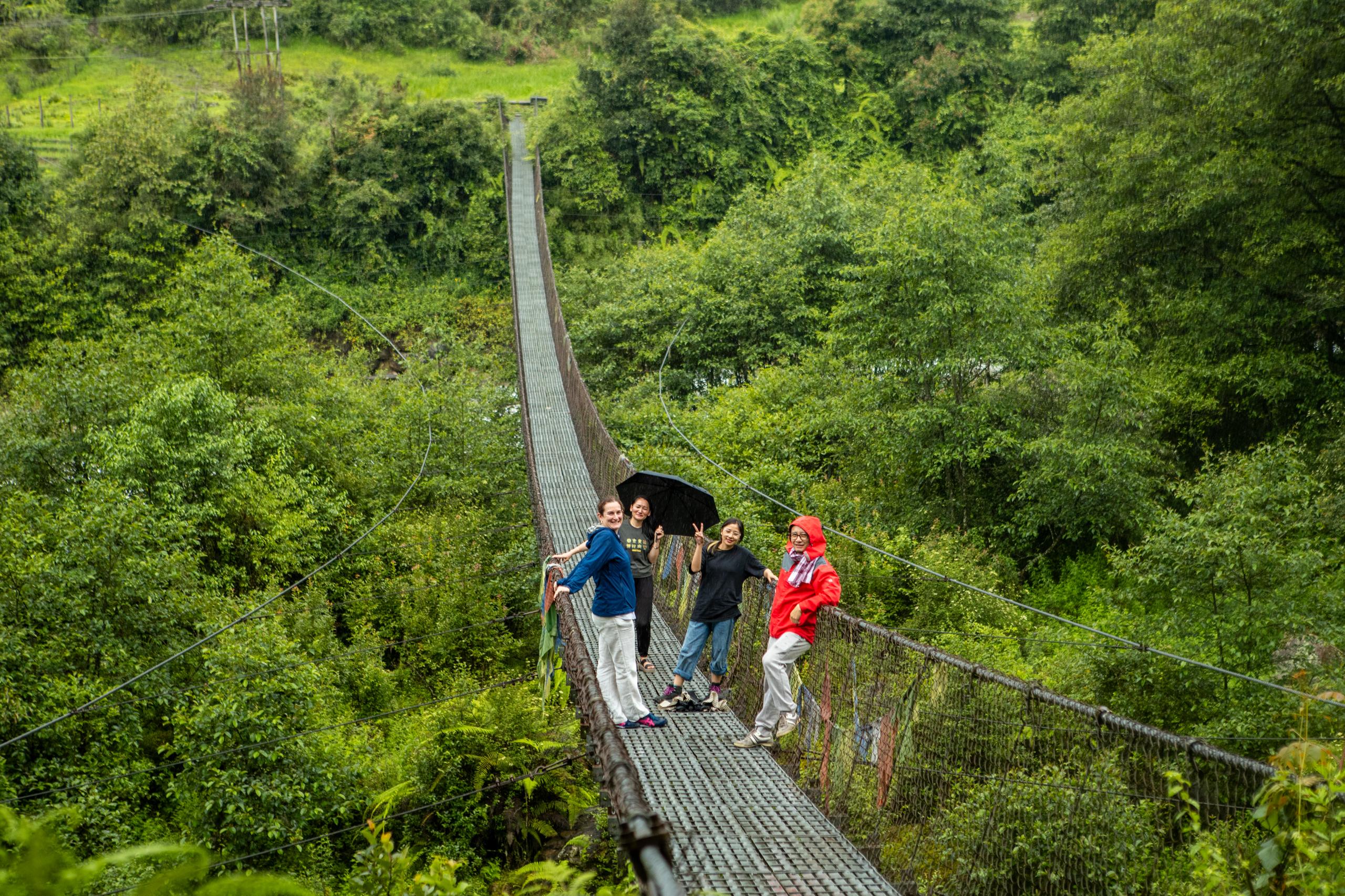 Hiking and walking