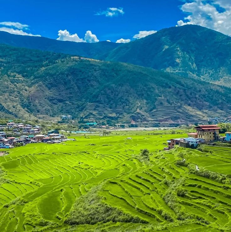 Trekking Tour