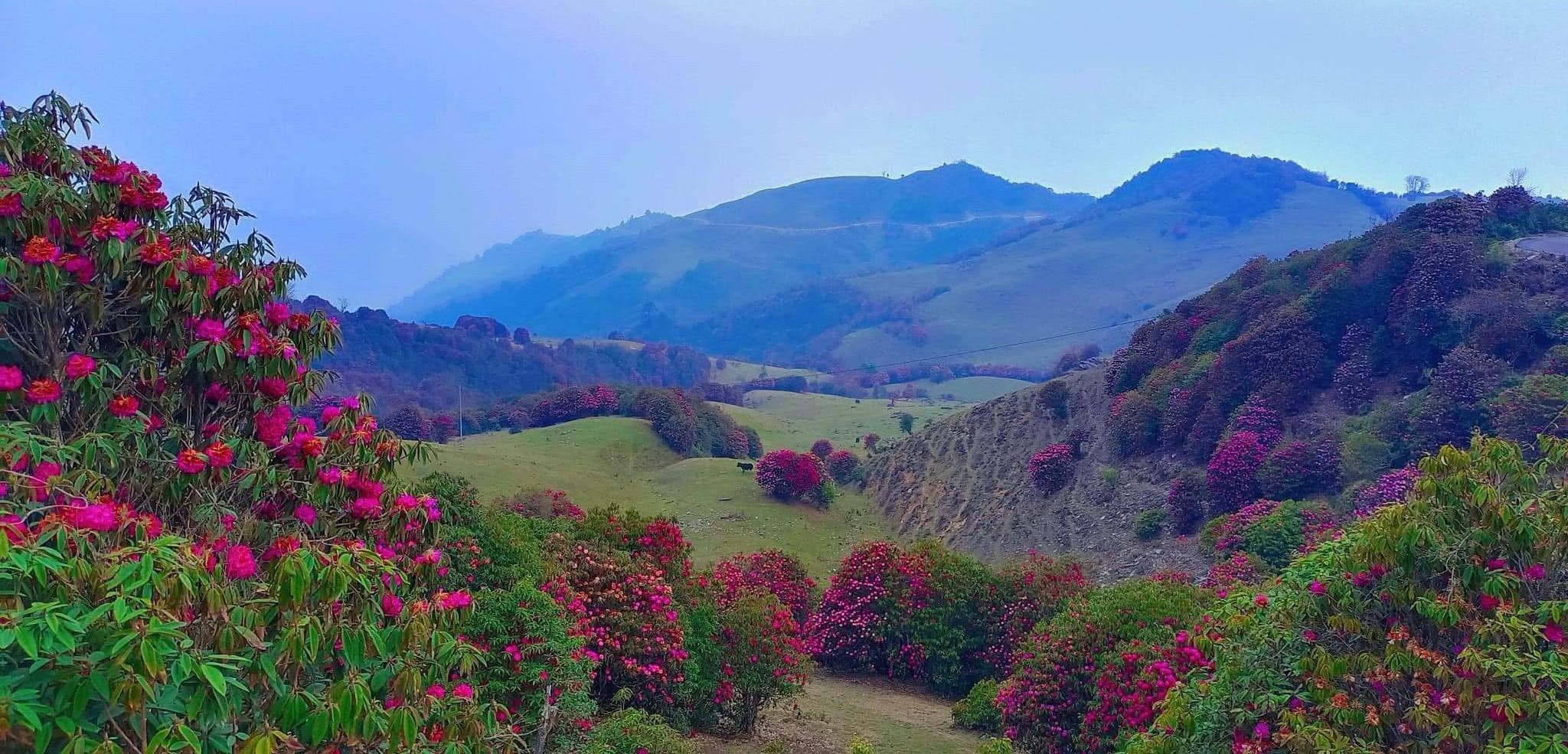 Bhutan Banner