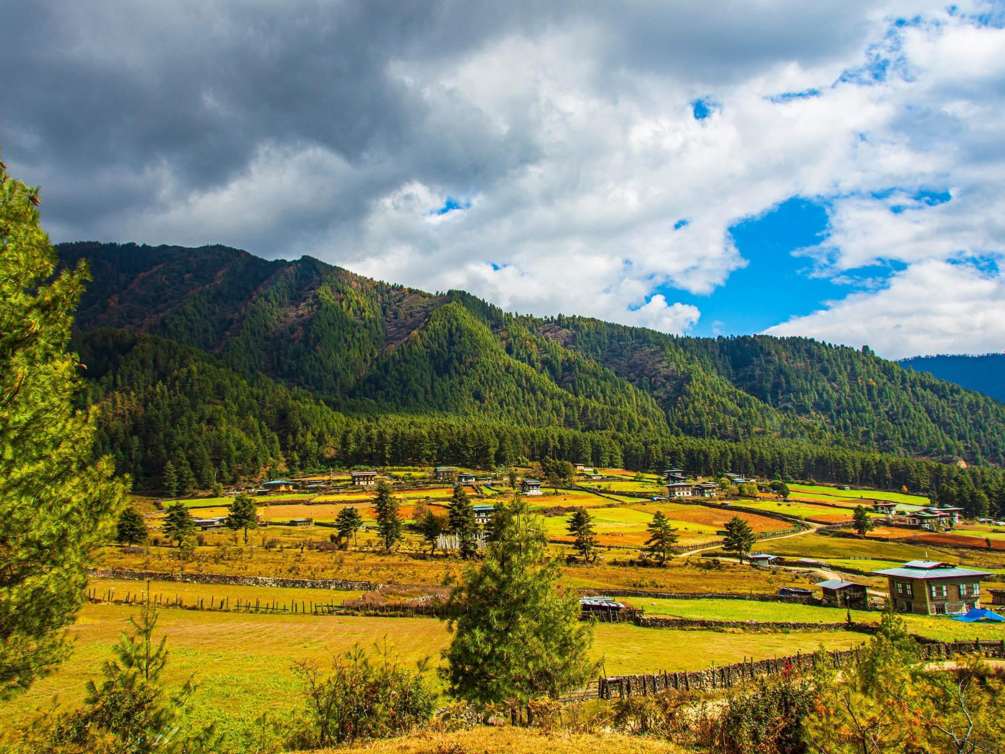 Autumn Bhutan