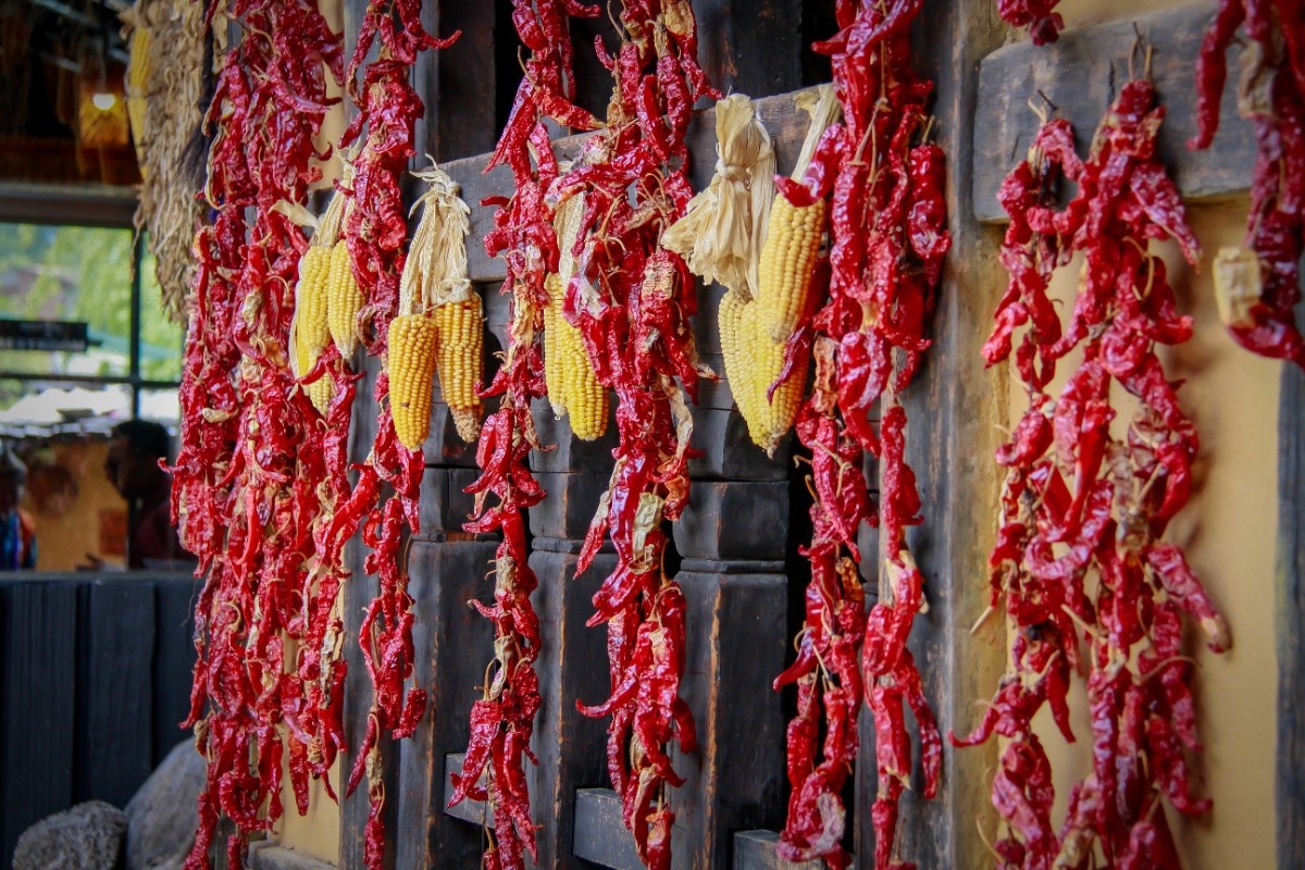 Bhutan Banner