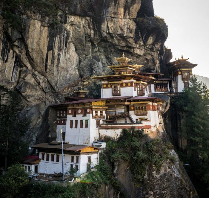 Paro