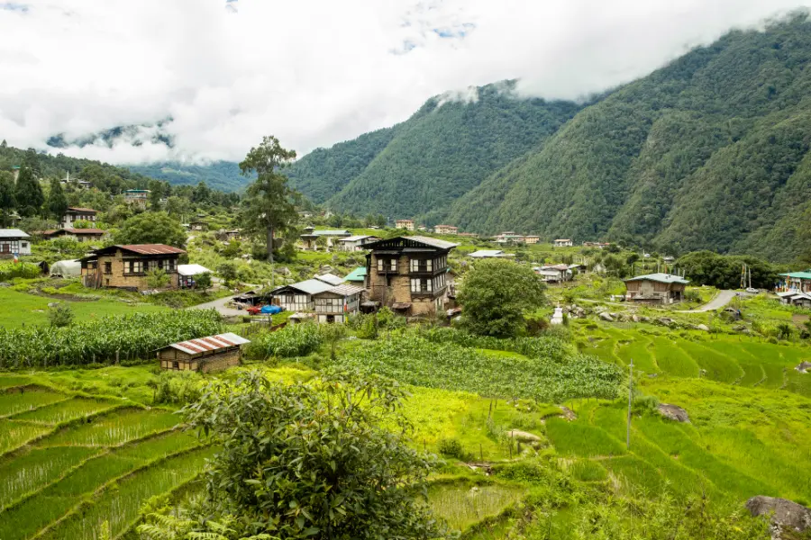 Scenic Bhutanese village landscape with traditional houses, green fields, and surrounding mountains.